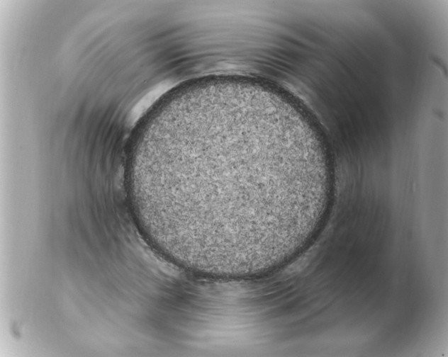 X0000102531066200808291815