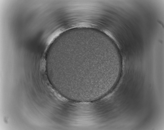 X0000102531067200808291815