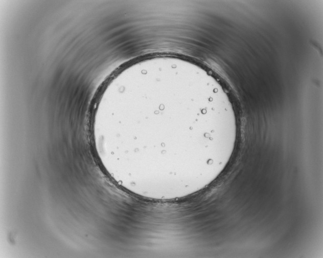 X0000102531068200808291815