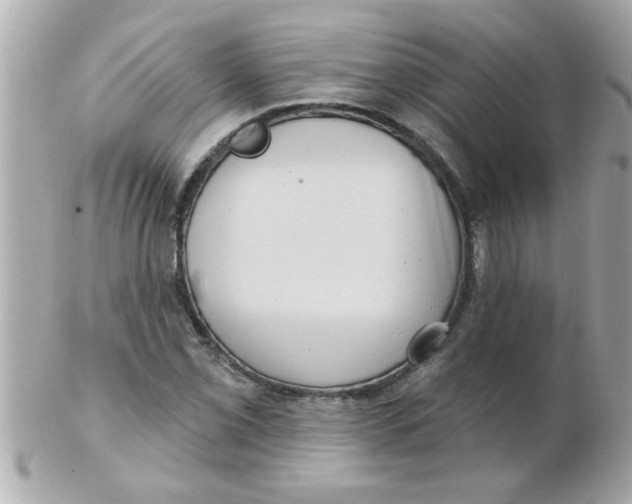 X0000102531069200808291815