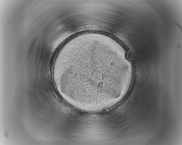 X0000102531070200808291815