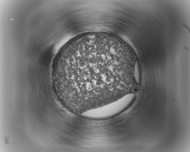 X0000102531071200808291815