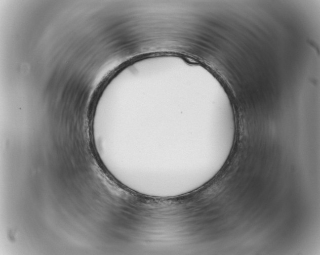 X0000102531072200808291815