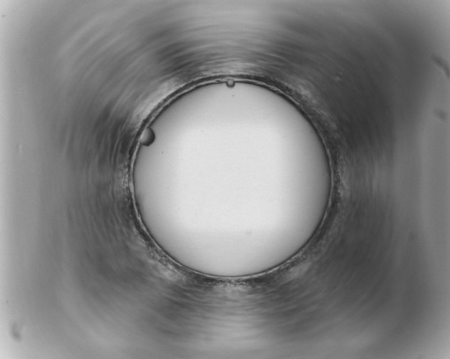 X0000102531073200808291815