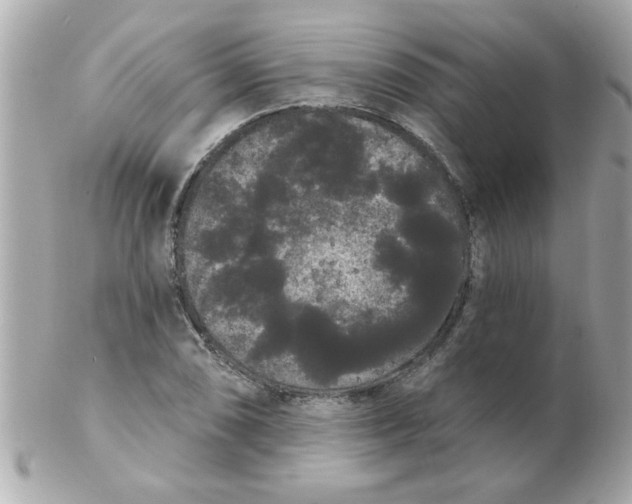 X0000102531074200808291815