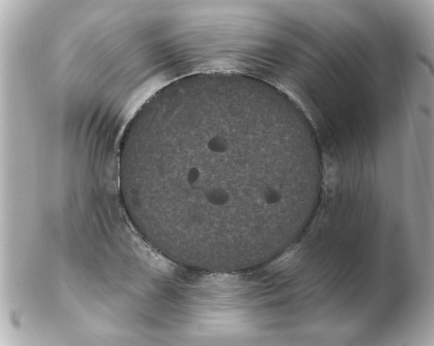 X0000102531075200808291815