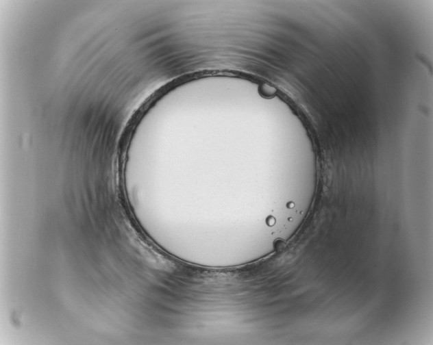 X0000102531076200808291815