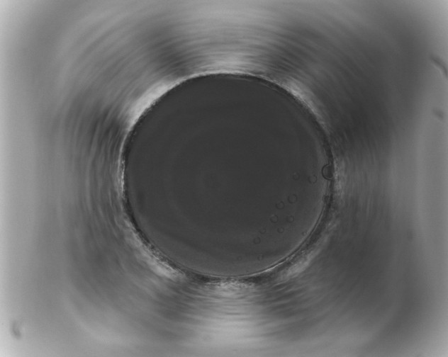 X0000102531077200808291815