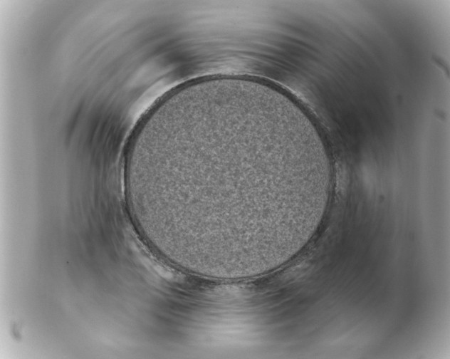 X0000102531078200808291815