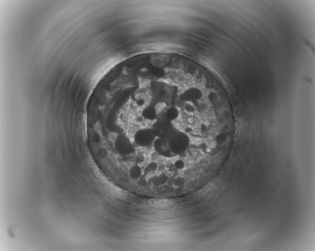 X0000102531079200808291815