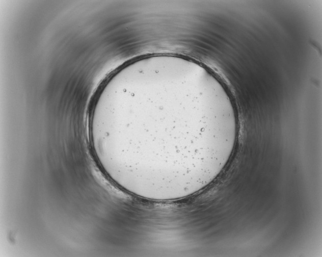 X0000102531080200808291815