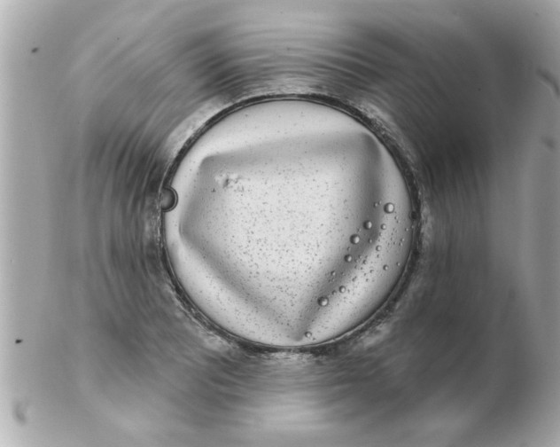 X0000102531081200808291815