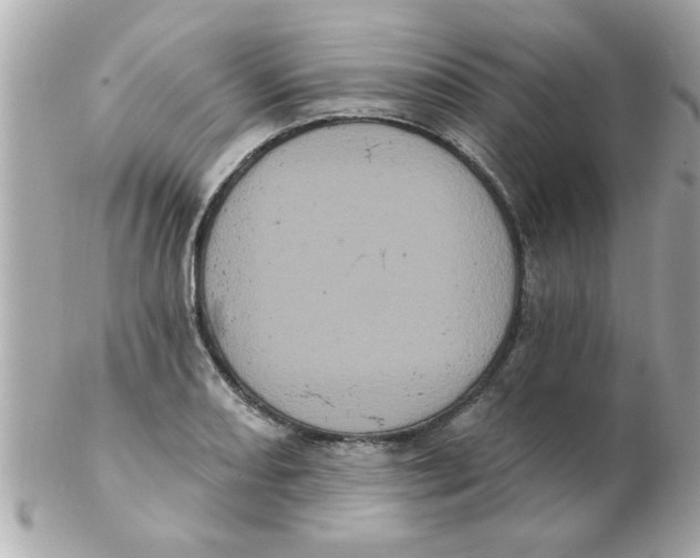 X0000102531082200808291815