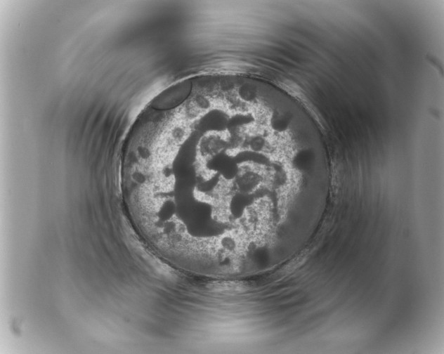 X0000102531083200808291815