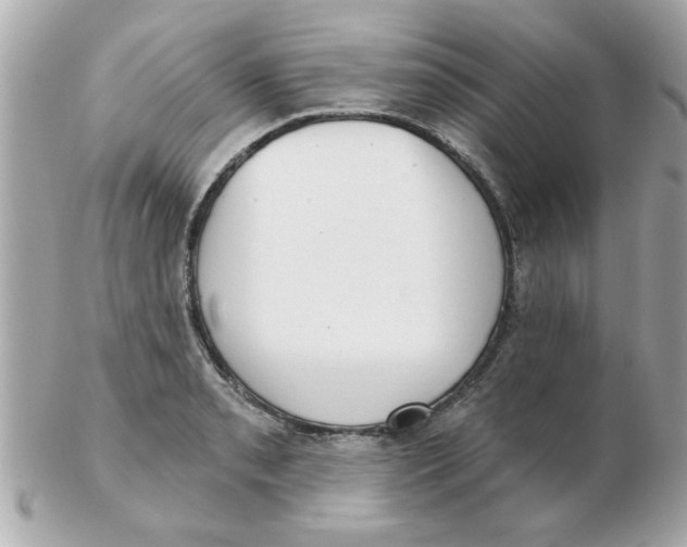 X0000102531085200808291815