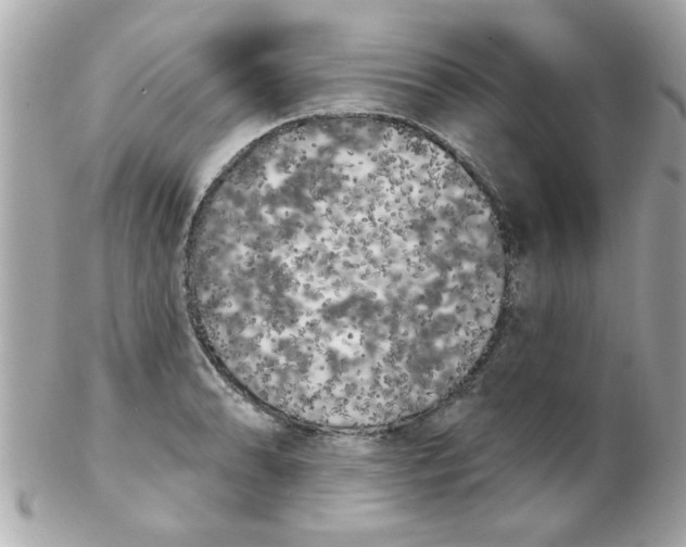 X0000102531086200808291815