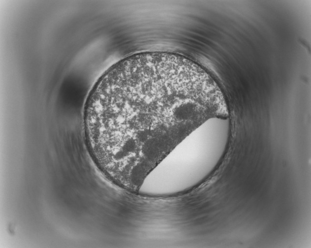 X0000102531087200808291815