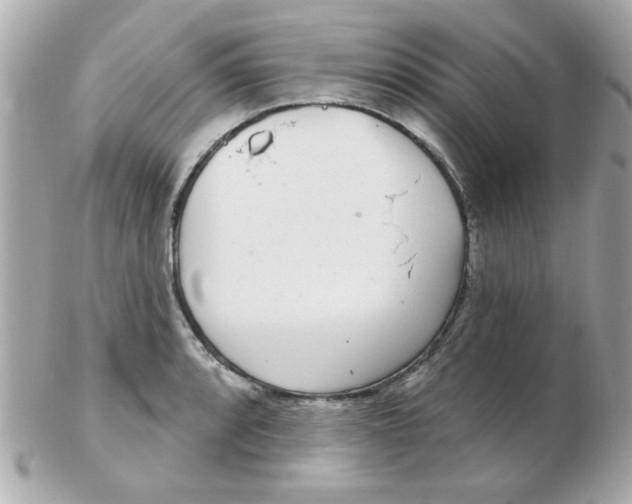 X0000102531088200808291815