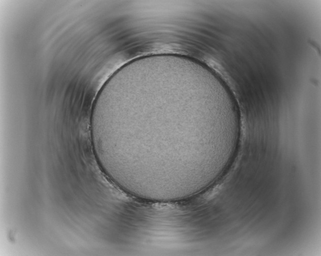 X0000102531089200808291815