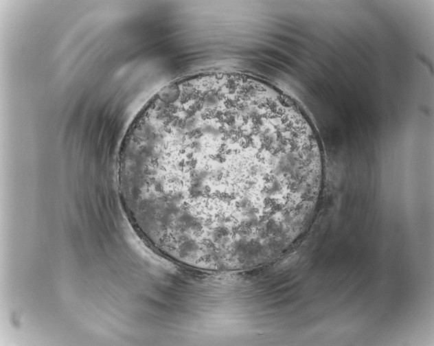 X0000102531090200808291815