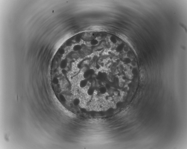 X0000102531091200808291815