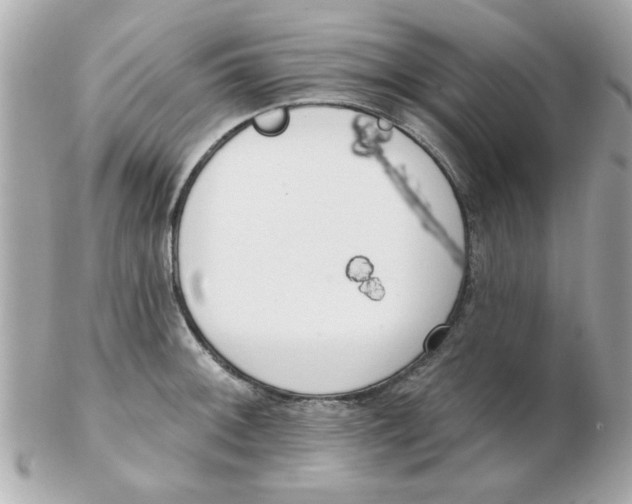 X0000102531092200808291815