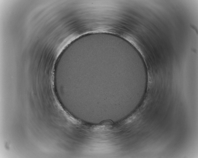 X0000102531093200808291814