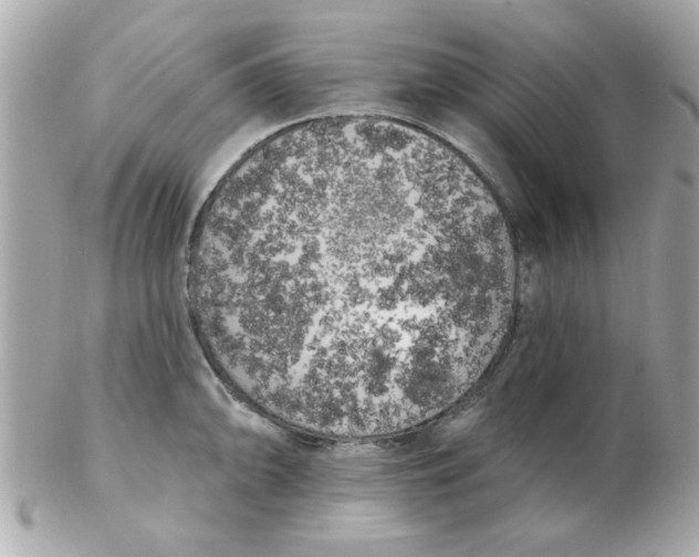 X0000102531094200808291814