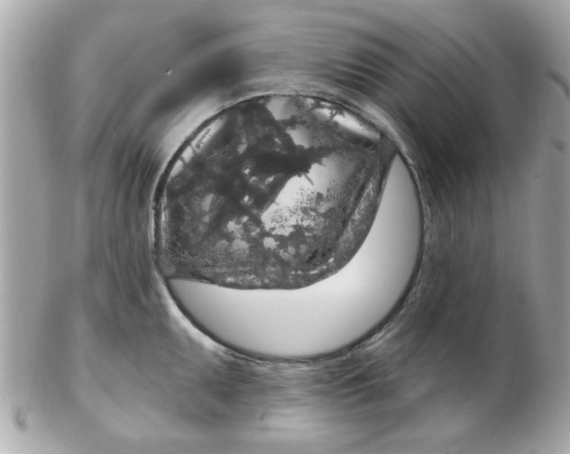 X0000102531095200808291814