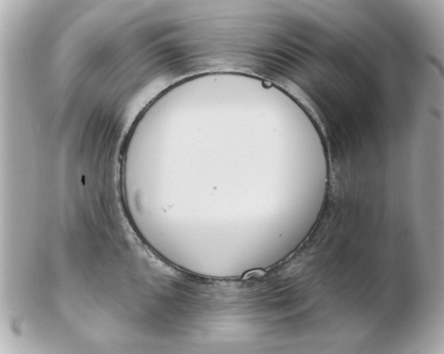 X0000102531096200808291814