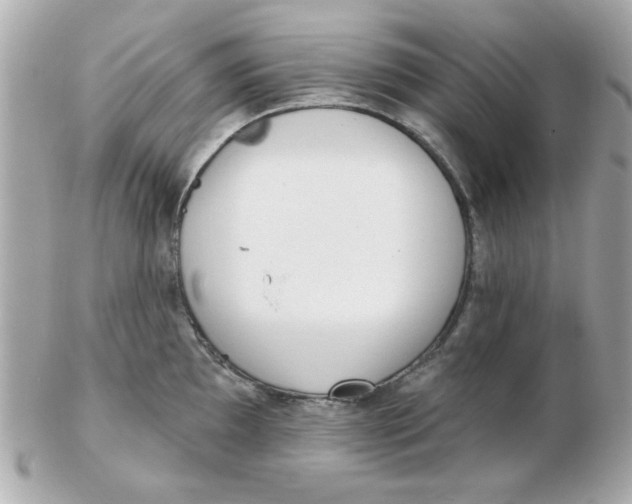 X0000102531097200808291814