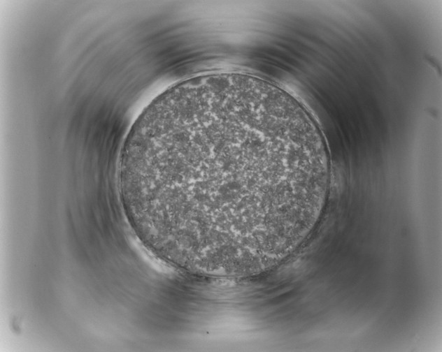 X0000102531098200808291814