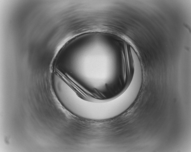 X0000102531099200808291814