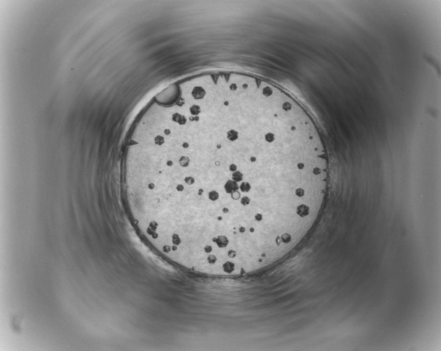 X0000102531100200808291814