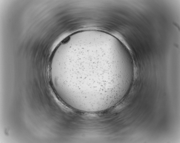 X0000102531101200808291814