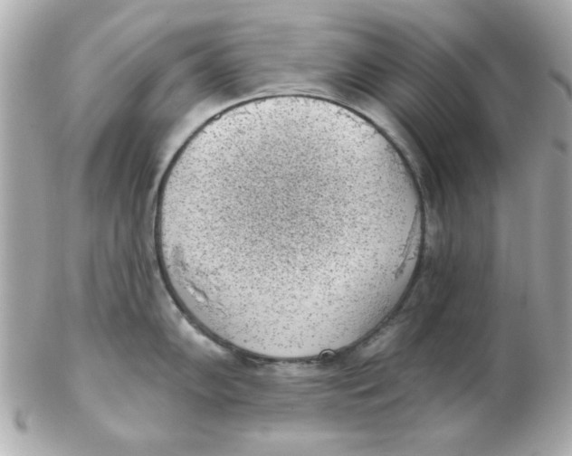 X0000102531102200808291814