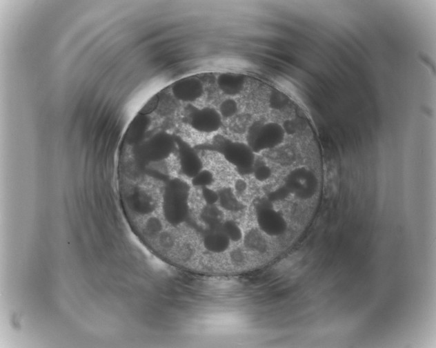 X0000102531103200808291814