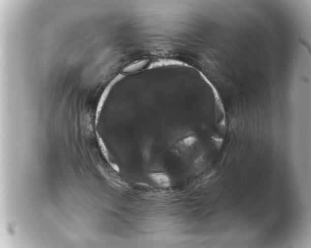 X0000102531106200808291814