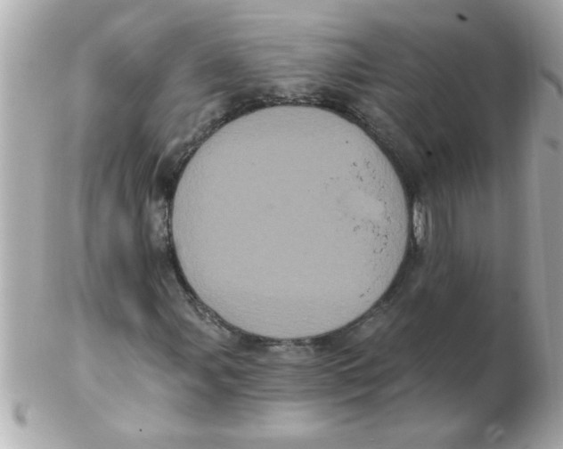 X0000102531107200808291814