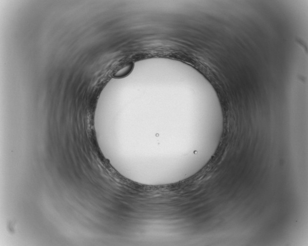 X0000102531108200808291814