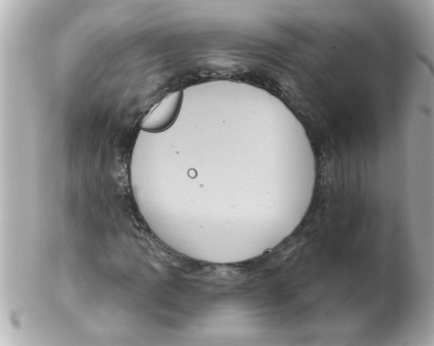 X0000102531109200808291814