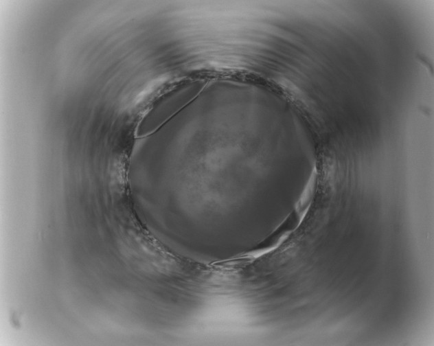 X0000102531110200808291814