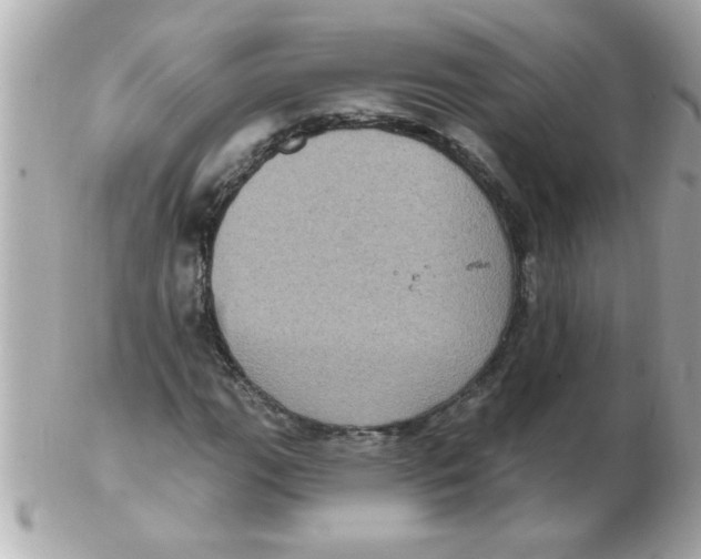 X0000102531111200808291814