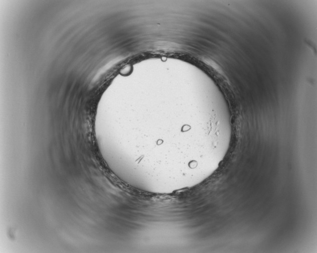 X0000102531112200808291814