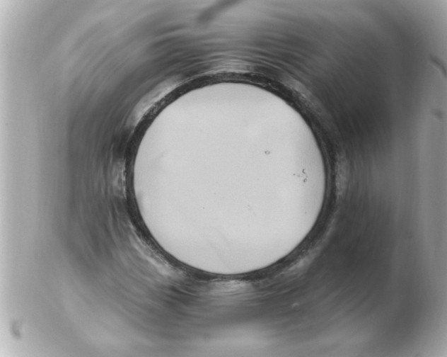 X0000102531113200808291814