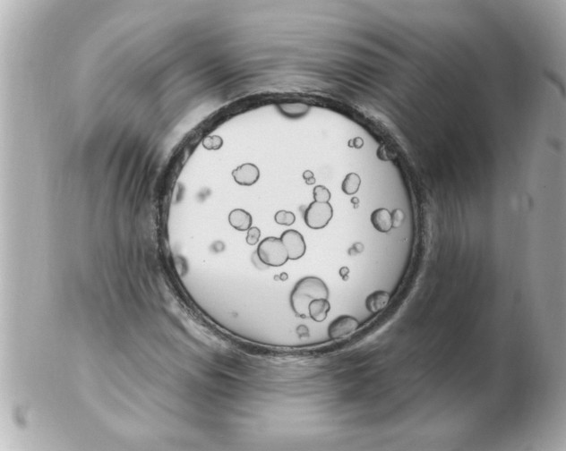 X0000102531114200808291814