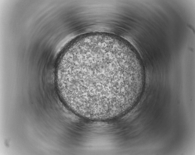 X0000102531115200808291814