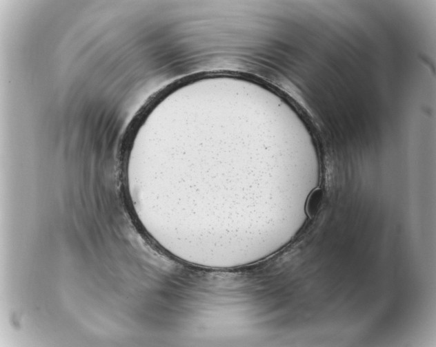 X0000102531116200808291814