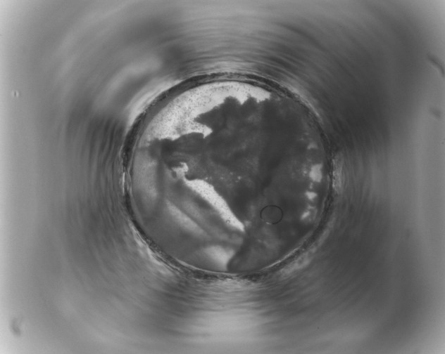 X0000102531117200808291814