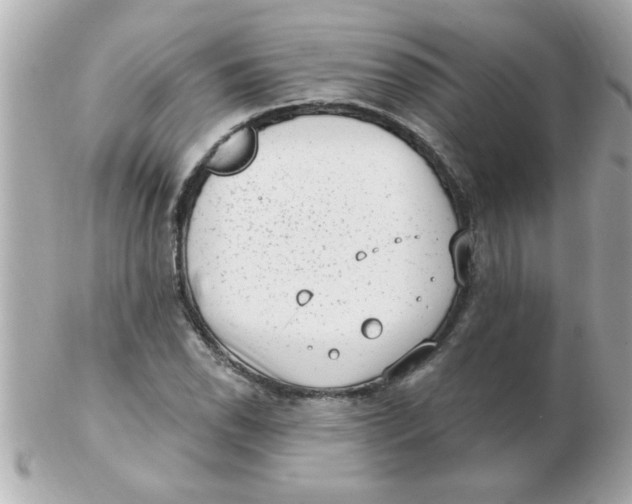 X0000102531118200808291814